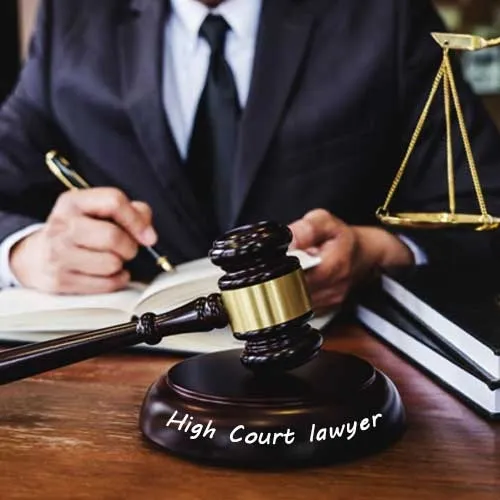 Court Lawyer Service