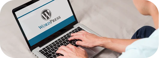 Built WordPress Websites