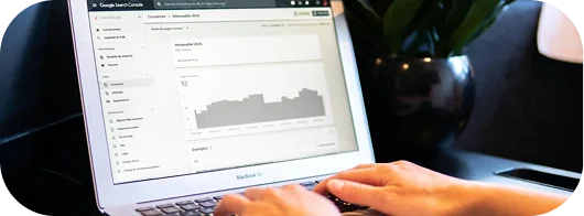 Local SEO Company 7 Expert SEO2