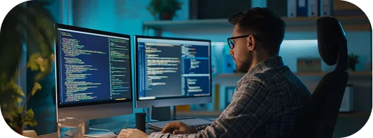 Expert Web Developers
