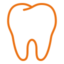 tooth