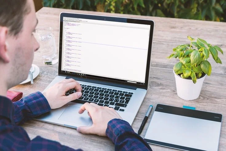 Professional pest control website design by expert web designers